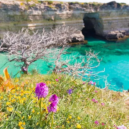 Casa Vacanze Noemi A Salento 5 Posti アパート オートラント